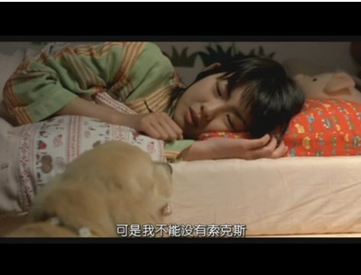 狗狗与我的十个约定剧照的剧照