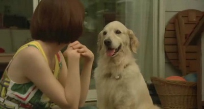 狗狗与我的十个约定剧照的剧照