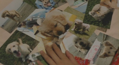 狗狗与我的十个约定剧照的剧照