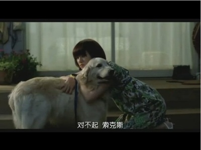 狗狗与我的十个约定剧照的剧照