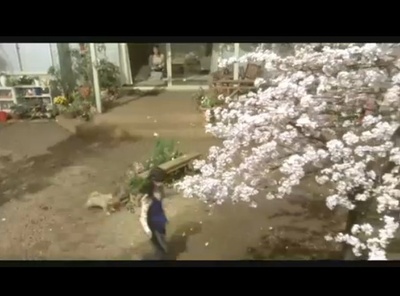 狗狗与我的十个约定剧照的剧照