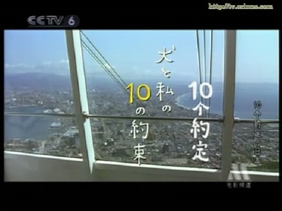 狗狗与我的十个约定剧照的剧照