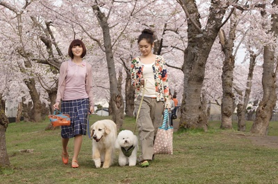 狗狗与我的十个约定剧照的剧照