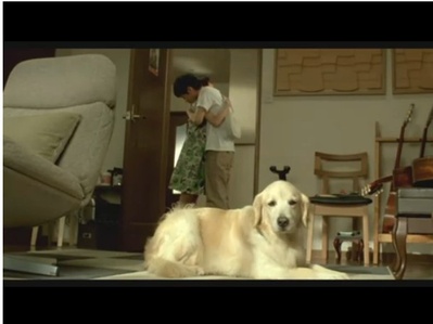 狗狗与我的十个约定剧照的剧照