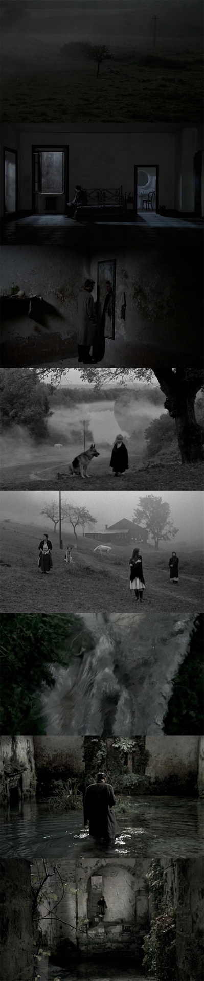 乡愁剧照的剧照