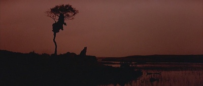 火之战剧照的剧照