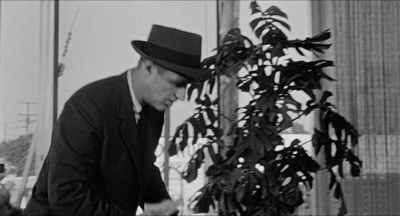 逍遥法外剧照的剧照