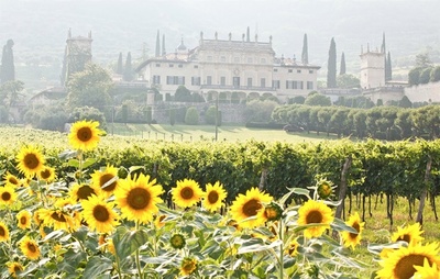 给朱丽叶的信剧照的剧照