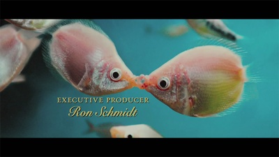 给朱丽叶的信剧照的剧照