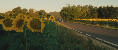 给朱丽叶的信剧照的剧照