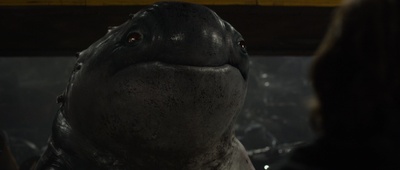 怪兽卡车剧照的剧照