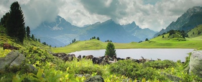 海蒂和爷爷剧照的剧照