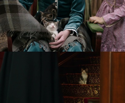 海蒂和爷爷剧照的剧照