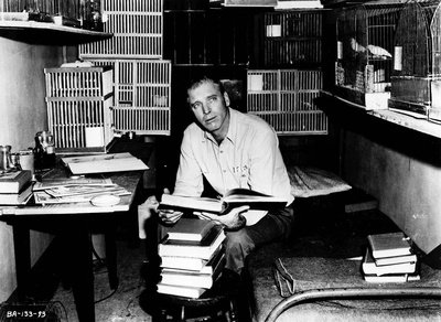 阿尔卡特兹的养鸟人剧照的剧照