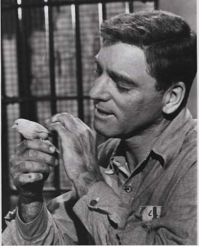 阿尔卡特兹的养鸟人剧照的剧照