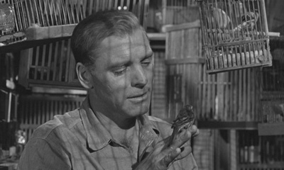 阿尔卡特兹的养鸟人剧照的剧照