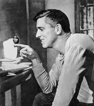 阿尔卡特兹的养鸟人剧照的剧照