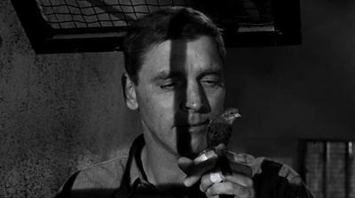 阿尔卡特兹的养鸟人剧照的剧照