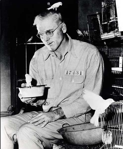 阿尔卡特兹的养鸟人剧照的剧照