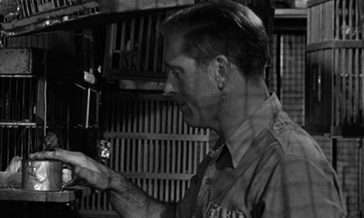 阿尔卡特兹的养鸟人剧照的剧照