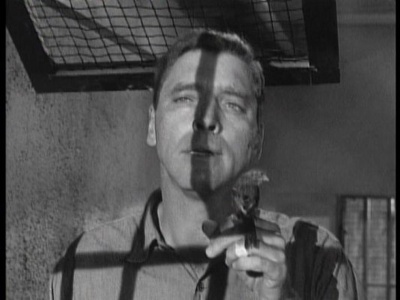 阿尔卡特兹的养鸟人剧照的剧照