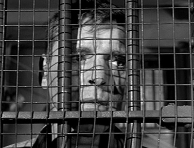 阿尔卡特兹的养鸟人剧照的剧照