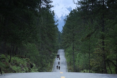 冈仁波齐剧照的剧照