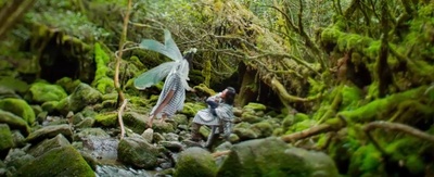 一出好戏剧照的剧照