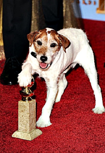 艺术家剧照的剧照