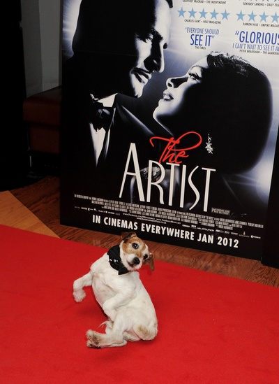 艺术家剧照的剧照