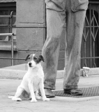 艺术家剧照的剧照