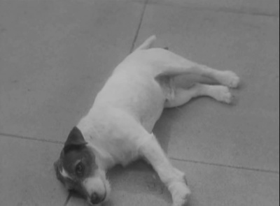 艺术家剧照的剧照