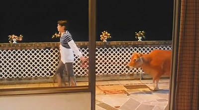 97家有喜事剧照的剧照