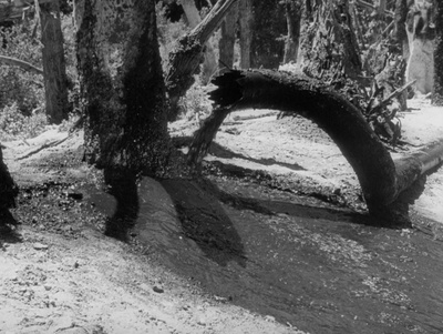 恐惧的代价剧照的剧照