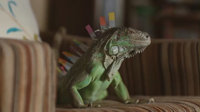 丈夫得了抑郁症剧照的剧照