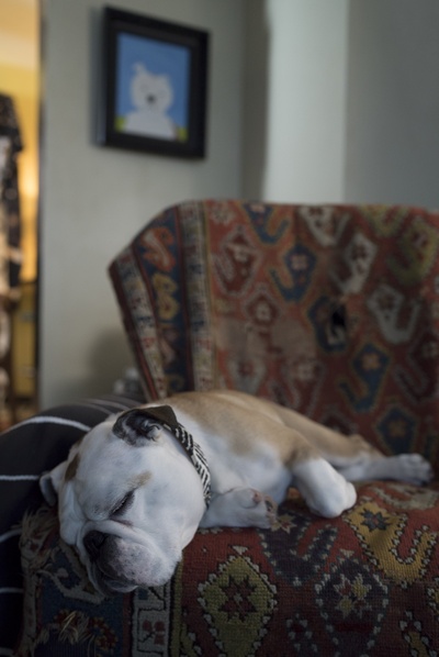 帕特森剧照的剧照