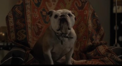 帕特森剧照的剧照