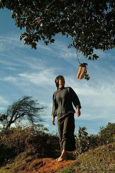 太阳照常升起剧照的剧照