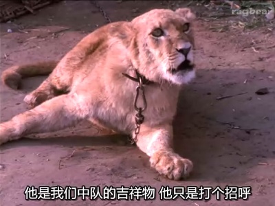 少年印地安纳琼斯大冒险：飞行间谍剧照的剧照