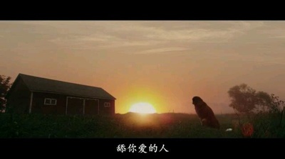 一条狗的使命剧照的剧照