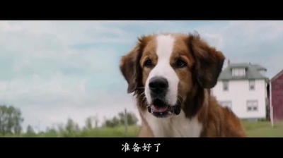 一条狗的使命剧照的剧照