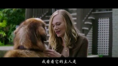 一条狗的使命剧照的剧照