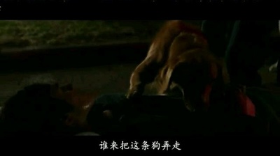 一条狗的使命剧照的剧照