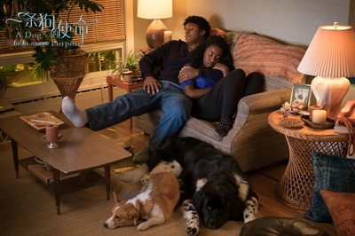 一条狗的使命剧照的剧照