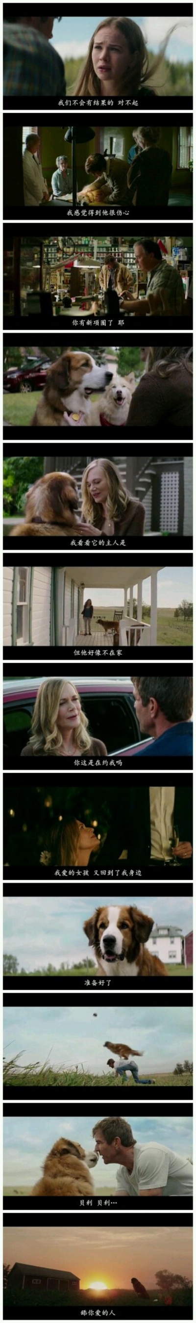 一条狗的使命剧照的剧照