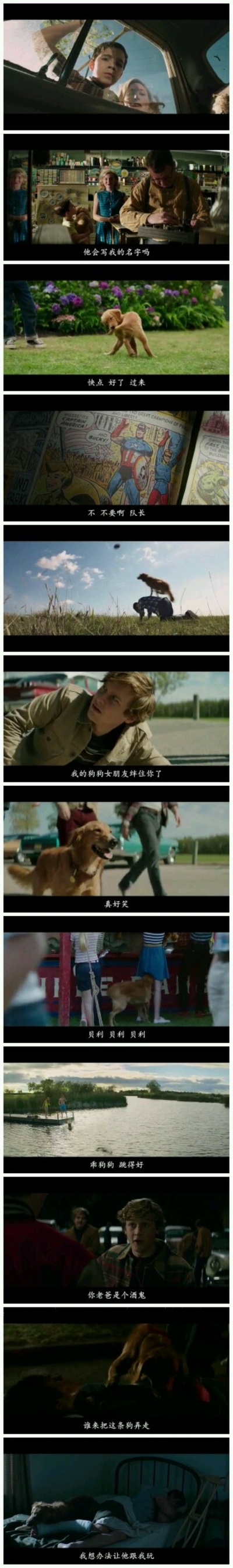 一条狗的使命剧照的剧照