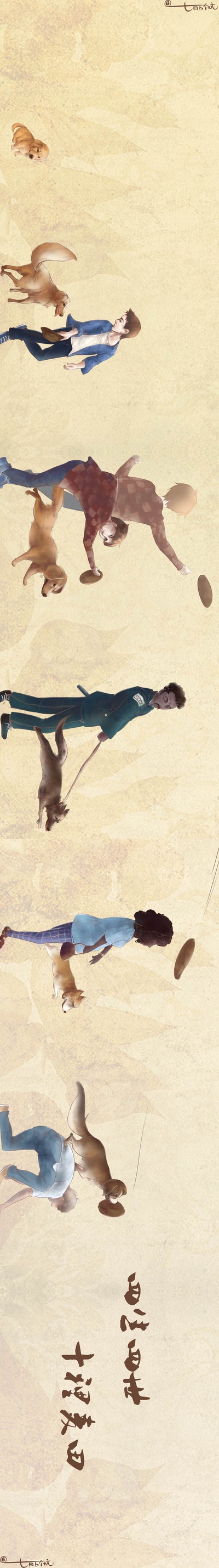 一条狗的使命剧照的剧照