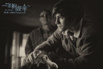 一条狗的使命剧照的剧照