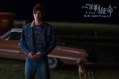 一条狗的使命剧照的剧照