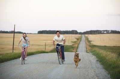 一条狗的使命剧照的剧照